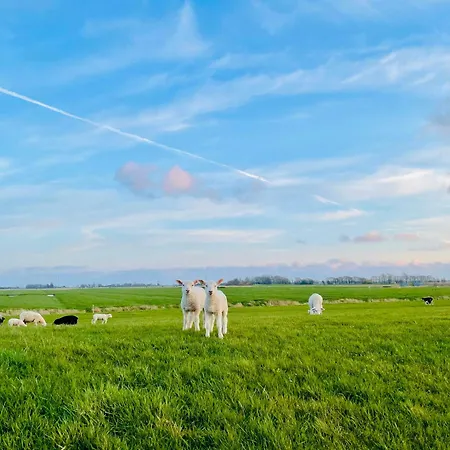 Дом отдыха Loft Under Thatch Retreat In Eiderstedt Nature Tetenbull